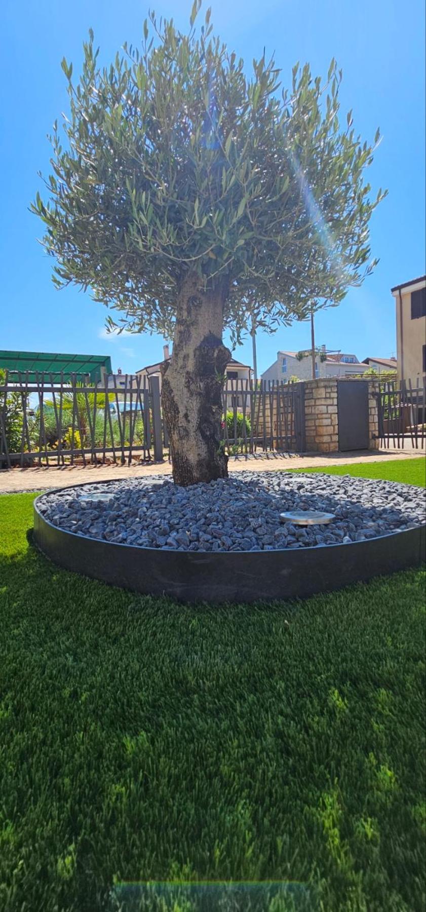 Kadenca Apartment Умаг Стая снимка